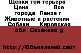 Щенки той терьера › Цена ­ 10 000 - Все города, Пенза г. Животные и растения » Собаки   . Кировская обл.,Сезенево д.